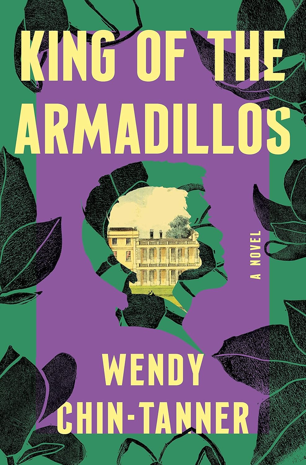 Book Jacket: King of the Armadillos